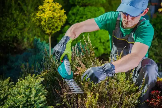 landscaping services Ruston